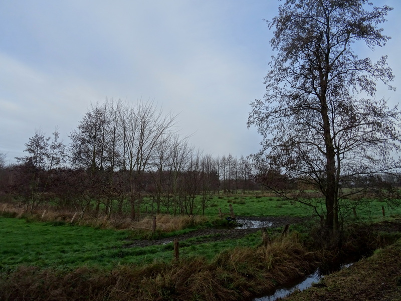 Vught5.jpg