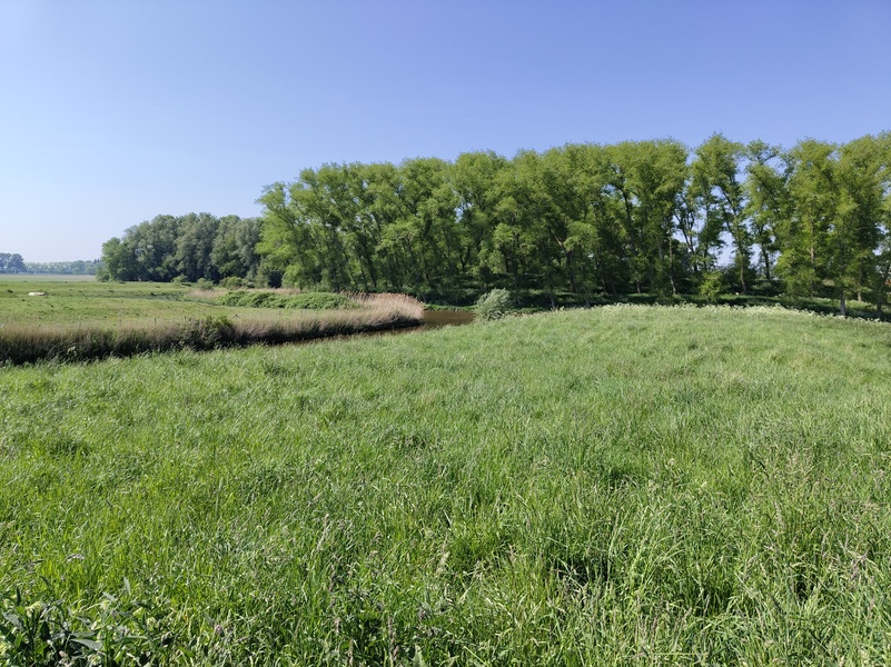 Nieuwvliet14.jpg