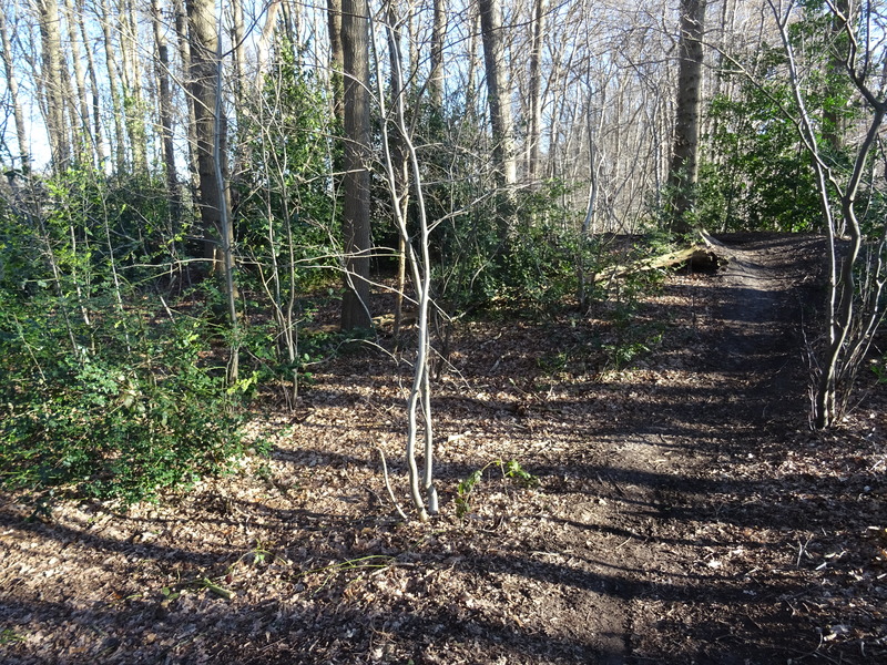 Terheiden5.jpg
