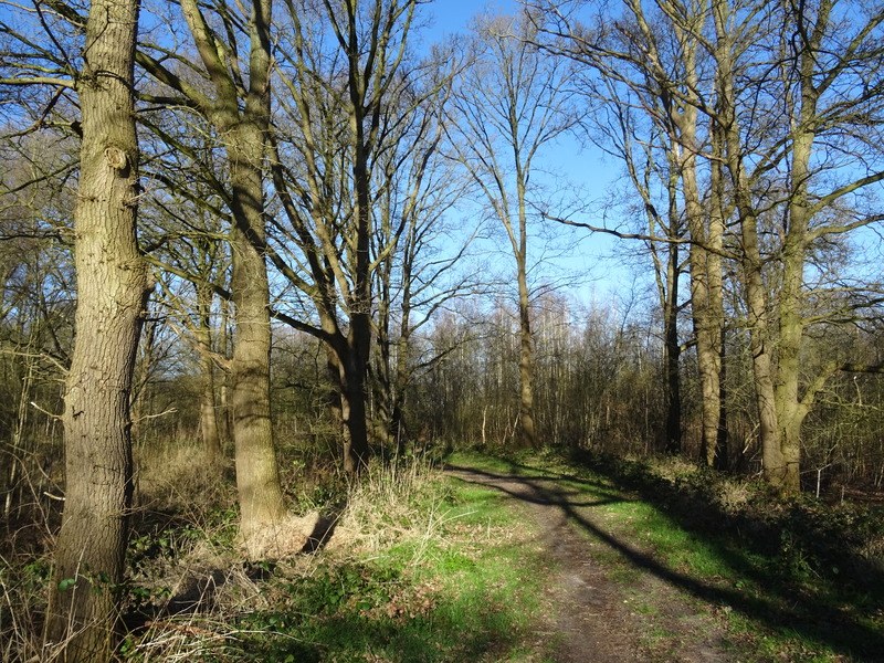 Terheiden6.jpg