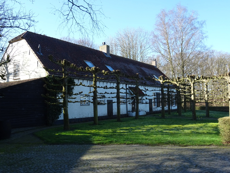 Terheiden7.jpg
