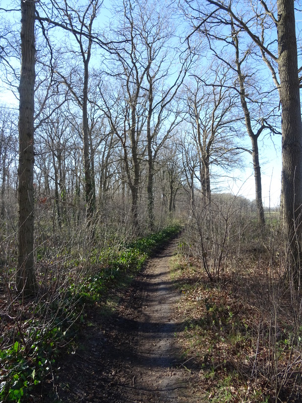 Terheiden9.jpg