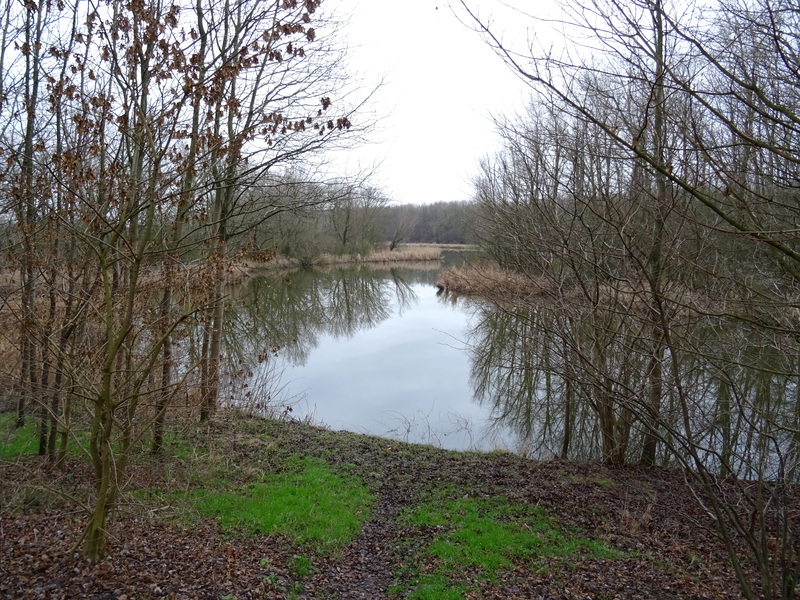 Willemstad12.jpg